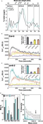 Arabinoxylan-Oligosaccharides Act as Damage Associated Molecular Patterns in Plants Regulating Disease Resistance